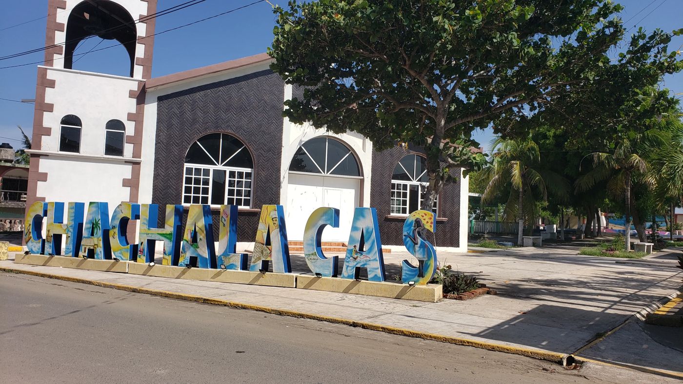 Chachalacas