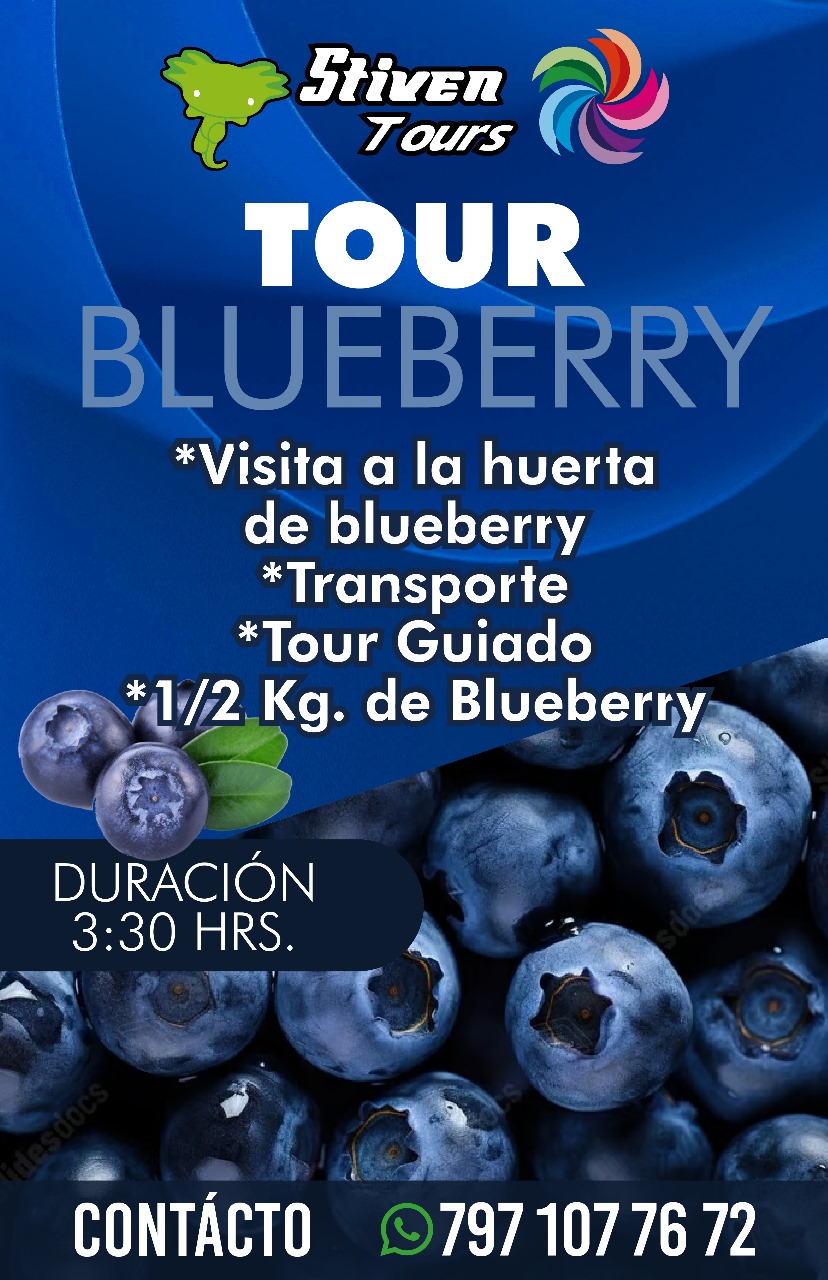 Tour Blueberry